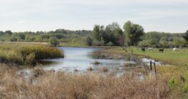Découverte des mares de La Capelle