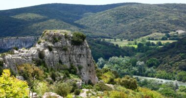 Les rapaces de nos garrigues