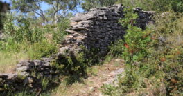 Sur le chemin des odeurs