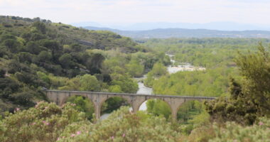 Les rapaces de nos garrigues