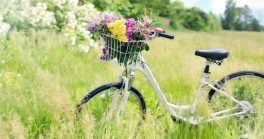 Les gorges du Gardon en vélo !