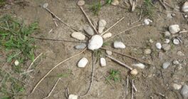 Land art 2