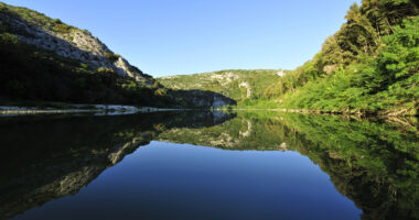 A la découverte du castor