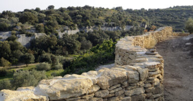 Traces de vie
