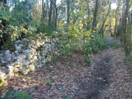 APPEL A CANDIDATURE Résidence d’arts plastiques pour la création de trois oeuvres de land-art participatives dans la Réserve de biosphère des gorges du Gardon