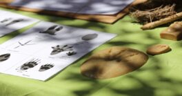 atelier-empreintes-mgs-3