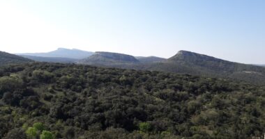 Découverte des garrigues de Lussan