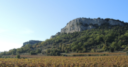 Découverte des garrigues de Lussan