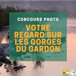 Les photos des participants au Concours photo