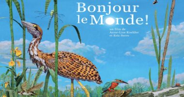 Projection et atelier : Bonjour le monde!