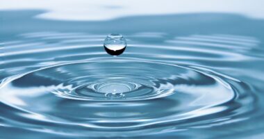 L'Eau dans tous ses états :  Journée mondiale de l'Eau