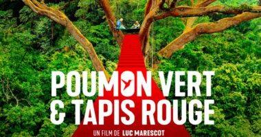 Projection Poumon vert et tapis rouge