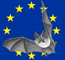 Nuit internationale de la chauve-souris Edition 2022